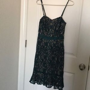 The Limited Dark Green Lace Dress